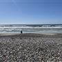 Torrey Pines State Beach (SB)