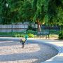 Baroni Park