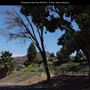 Rancho Penãsquitos Linear Dog Park