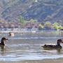 Poway Lake