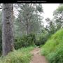 Presidio Park