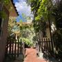 Mediterranean Grove House