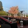 Yamashiro Hollywood - Historic Restaurant, Hotel & Gardens