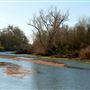 Bidwell-Sacramento River State Park (SP)