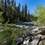 Calaveras Big Trees State Park (SP)