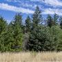 Castle Rock State Park (SP)
