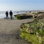 Cardiff State Beach (SB)