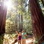 Armstrong Redwoods State Natural Reserve (SNR)