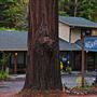 Cazadero