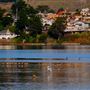 Bodega Bay