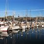 Bodega Bay