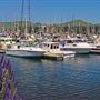 Bodega Bay
