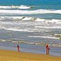 Bodega Head / Dunes (Sonoma Coast State Beach)
