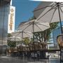 Toastique on Sunset