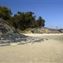 Carpinteria State Beach (SB)