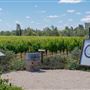 DeLoach Winery