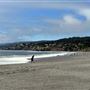 Gualala Point Regional Park