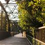 Guerneville Bridge