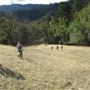 Healdsburg