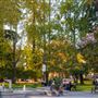 Healdsburg