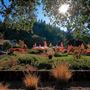 Healdsburg