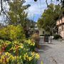 Sonoma State Historic Park (SHP) / General Vallejo’s Home / The Barracks / Mission San Francisco Solano