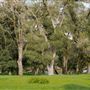 Ragle Ranch Regional Park