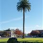 Sonoma