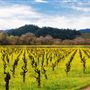 Sonoma