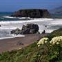 Sonoma Coast State Park (SP)