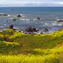 Sonoma Coast State Park (SP)