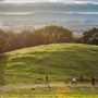 Taylor Mountain Regional Park