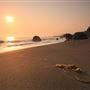 Wright's Beach (Sonoma Coast State Park)