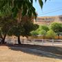Sunny Canyon Ranch