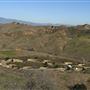 Chino Hills State Park (SP)