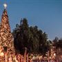 Knott's Berry Farm & Knott's California Marketplace