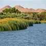 Mojave Narrows Regional Park
