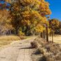 Mojave Narrows Regional Park