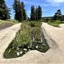 Japanese Gardens @ Donald C. Tillman Water Reclamation Plant