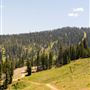 Dodge Ridge Mountain Resort