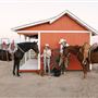CG Cattle Company