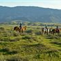 Santa Ynez