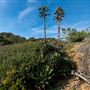 Tomales Bay State Park (SP)