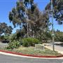 Kenneth Hahn State Recreational Area (SRA) administered by Los Angeles County