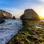 Coast Dairies State Beaches (Bonny Doon State Beach, Shark Fin State Beach, Laguna State Beach & Panther)