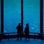 Monterey Bay Aquarium