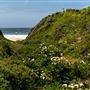 Garrapata State Park (SP)