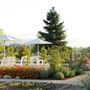 DeLoach Winery