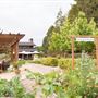 DeLoach Winery