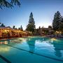 Flamingo Resort